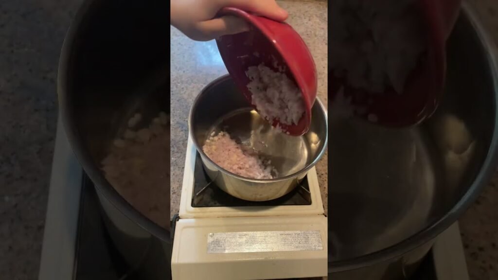 Mushroom Risotto 