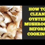 How to Clean Oyster Mushroom Before Cooking