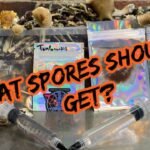 Mushroom spores 101 ~ What are they and the differences between them
