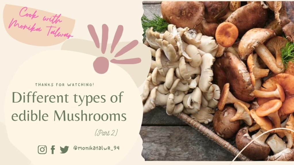 Basics: Information about different types of Edible Mushroom| Part 2 | by Monika Talwar