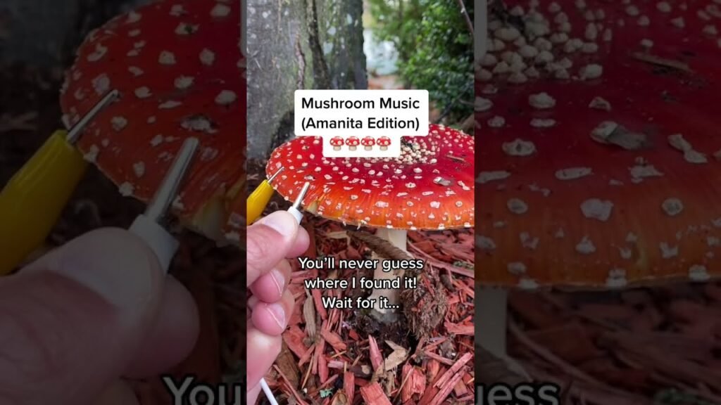 Modern Biology – Amanita mushroom music pt 4 🍄 The long version! #mushroom #plants #synth #amanita