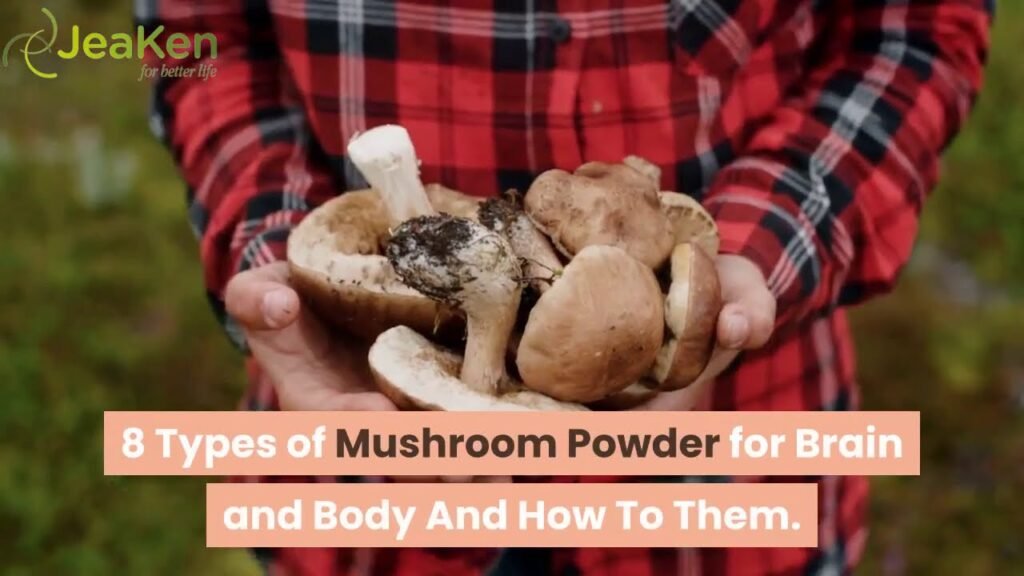 8 Types of Mushroom Powder for Brain and Body And How To Use Them.