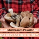 8 Types of Mushroom Powder for Brain and Body  And How To Use Them.