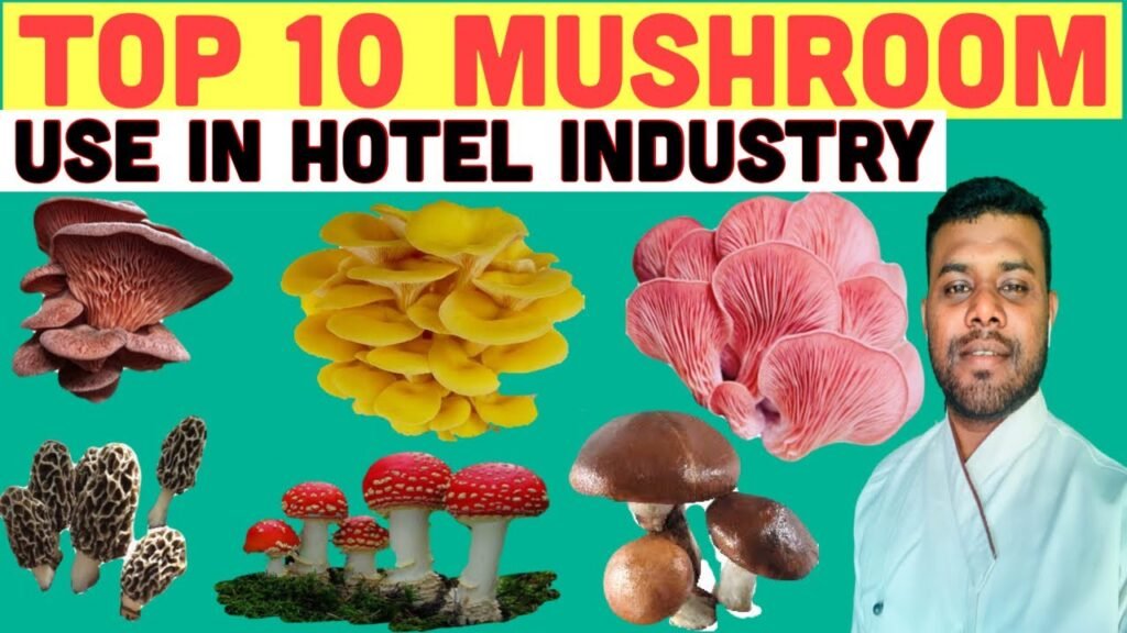 Types Of Mushroom For Cooking | Types Of Mushroom In Hindi.