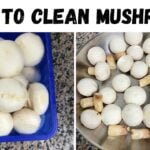 How to clean mushroom | കൂൺ ക്ലീൻ ചെയ്യുന്നതെങ്ങനെ #shorts #youtubeshorts