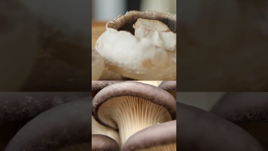 Mushroom Varieties | Produce Made Simple