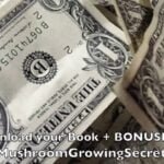 Mushroom Farming:  Best Types of Mushrooms to Grow?