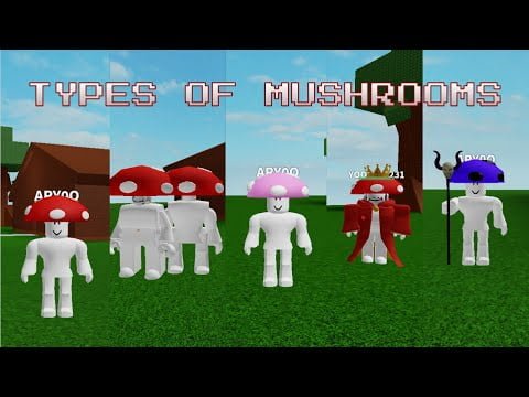 TYPES OF MUSHROOMS IN ABILITY WARS – ARY0O