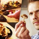 How I Cooked 5 Pounds of Mushrooms