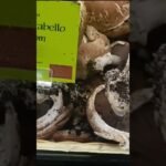 Different types of mushrooms in USA  #mushroom #mushroomrecipe #mushrooms