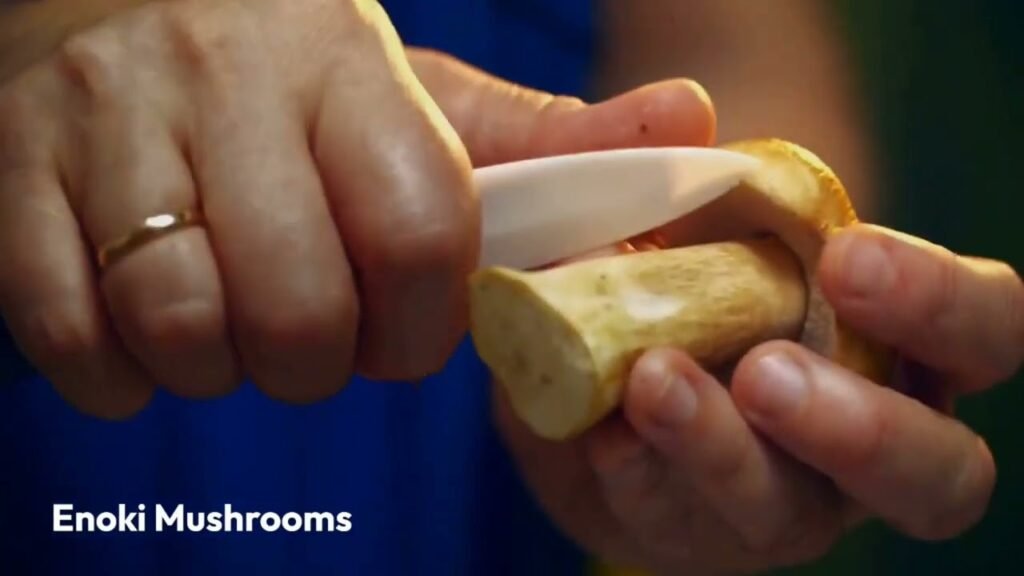 Different types of Mushroom. #culinary #chef #generalknowledge #recipe #mushroom