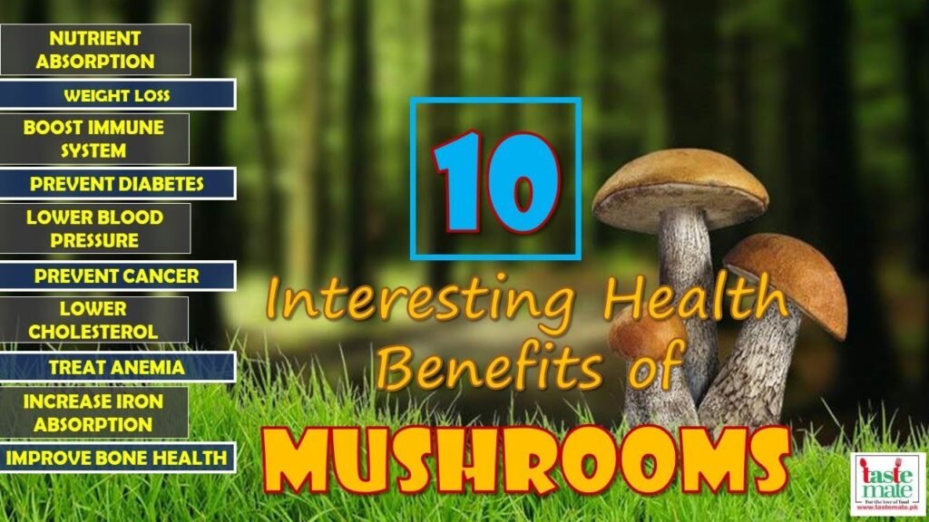 Types of Mushrooms