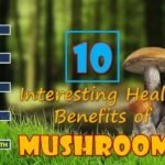 Types of Mushrooms