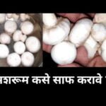 मशरूम साफ करण्याची सोपी पद्धत | How to clean Mushroom before cooking | House and wife recipe