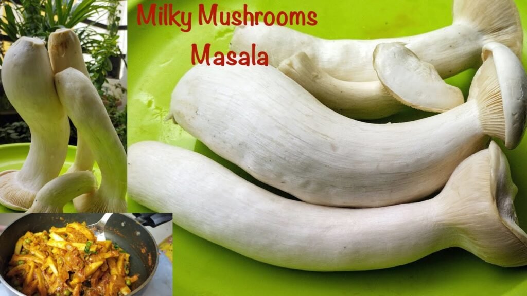 MILKY MUSHROOM MASALA | MUSHROOM GREEN PEAS MASALA | HOW TO COOK LONG MUSHROOMS