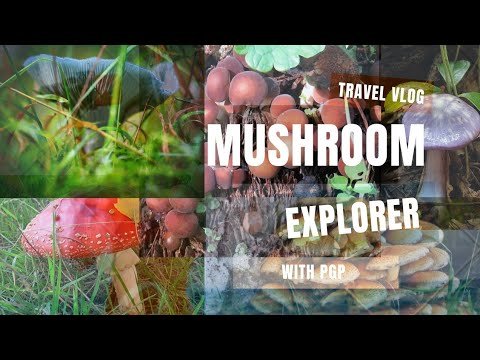 DIFFERENT TYPES OF MUSHROOM IN THE WORLD