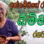 බම්මල් | වෙනස්ම විදියට බිම්මල් වෑංජනය | Bimmal | Healthy and Delicious mushrooms curry by Aththamma