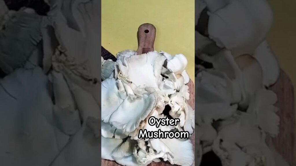 OYSTER MUSHROOM CURRY || #simple  #youtubeshorts