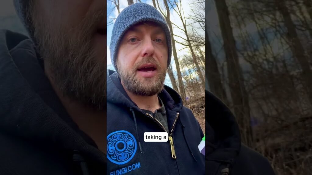 Mushroom identification with Zolton