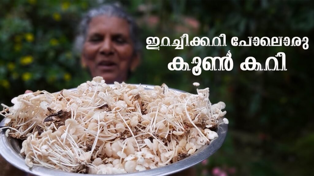 അരി കൂൺ  ഇങ്ങനെയൊന്നു കറി വെച്ച് നോക്കണം. ഒടുക്കത്തെ രുചിയാന്നേ 😋| Mushroom Curry| Annammachedathi 😍