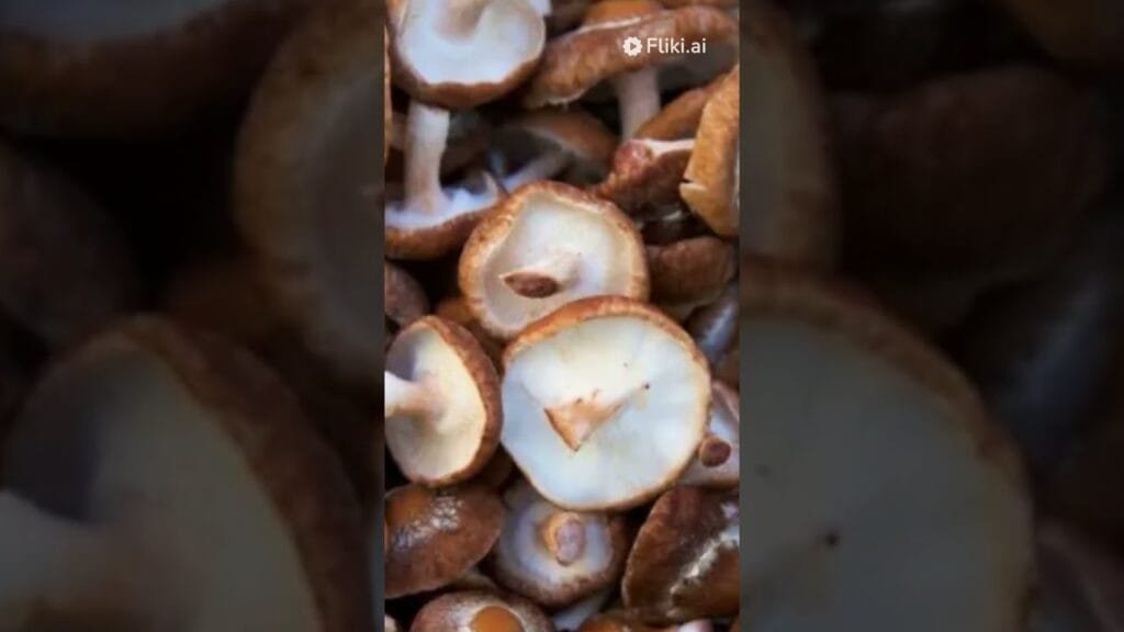 29 common mushroom varieties #mushroom