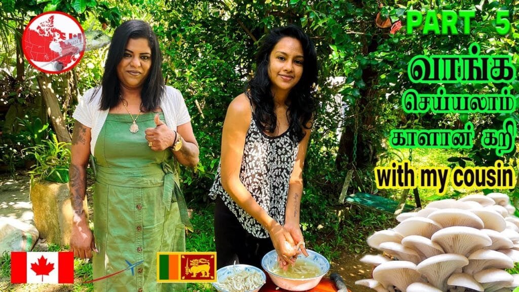 Sri Lankan Trip Part 5 | Mushroom Curry | Kalan Curry | Bimmal Recipe