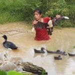 Survival in the rainforest, Catch Duck and Pick Mushroom plant, Duck curry with Mushroom for dinner