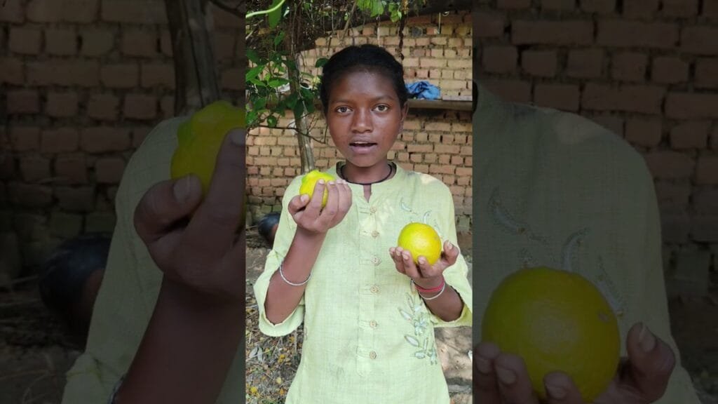 ଜେଜେମା କେମିତି ପଟିଆ ବୁଣିଲେ ? #minivlog #tribevloggerrani #mushroomrecipes #shortvideo #vlog