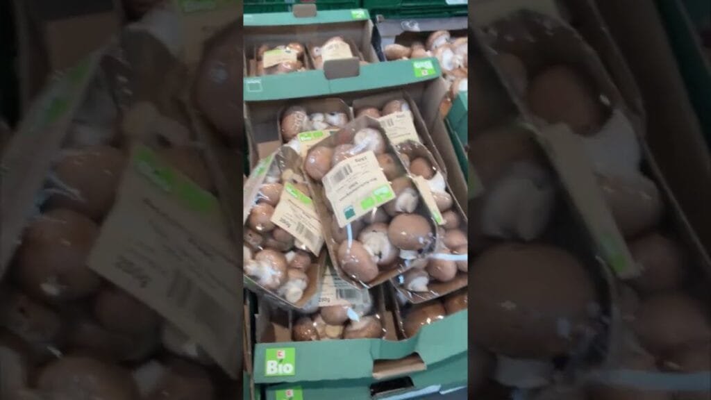 #shorts#trending#mushroom#types#vegetarian#germany