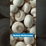 6 Mushrooms You Can Grow at Home