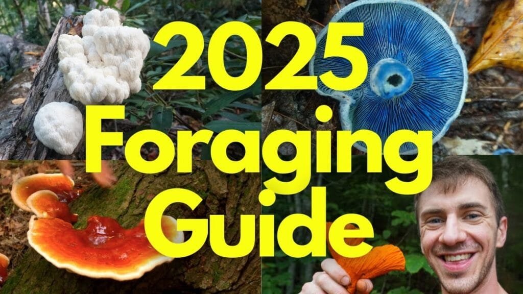 2025 Foraging Guide to Edible Mushrooms & Plants!