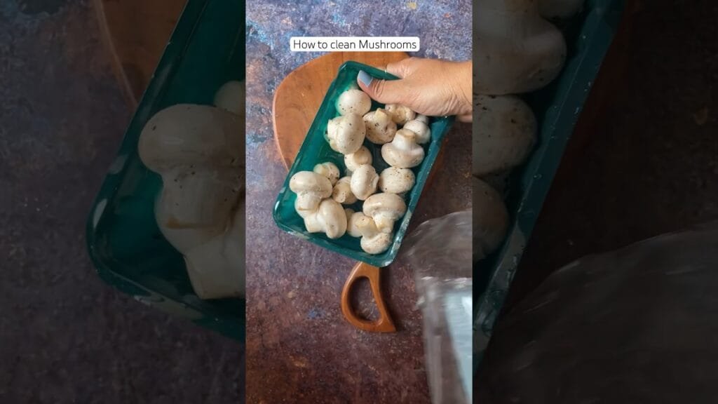 How to clean Mushrooms #mushroom #mushrooms #shortsfeed #shorts #shortsviral #ashortaday