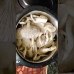 How to Make Oyster Mushroom Masala | #shorts #viral #trending #ytshorts #mushroom #recipe @MrBeast