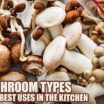 10 Mushroom Types and Their Best Uses in the Kitchen
