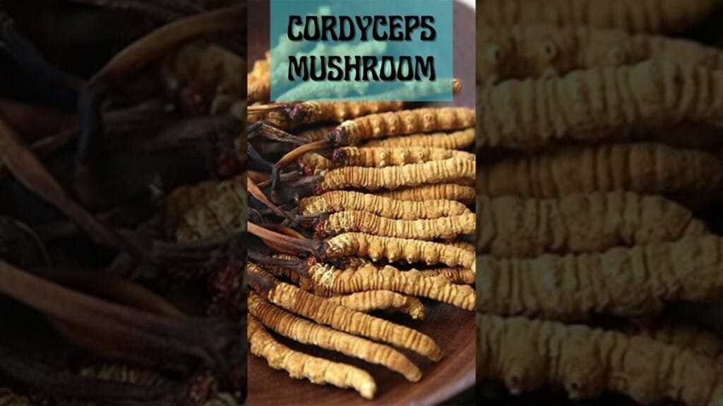 Types of mushrooms | Nutrients | Benefits | #mushroom #organic #organicfarming #shorts #ytshorts