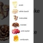 Mushroom names – types of mushrooms vocabulary – English vocabulary words #shortsyoutube #mushroom