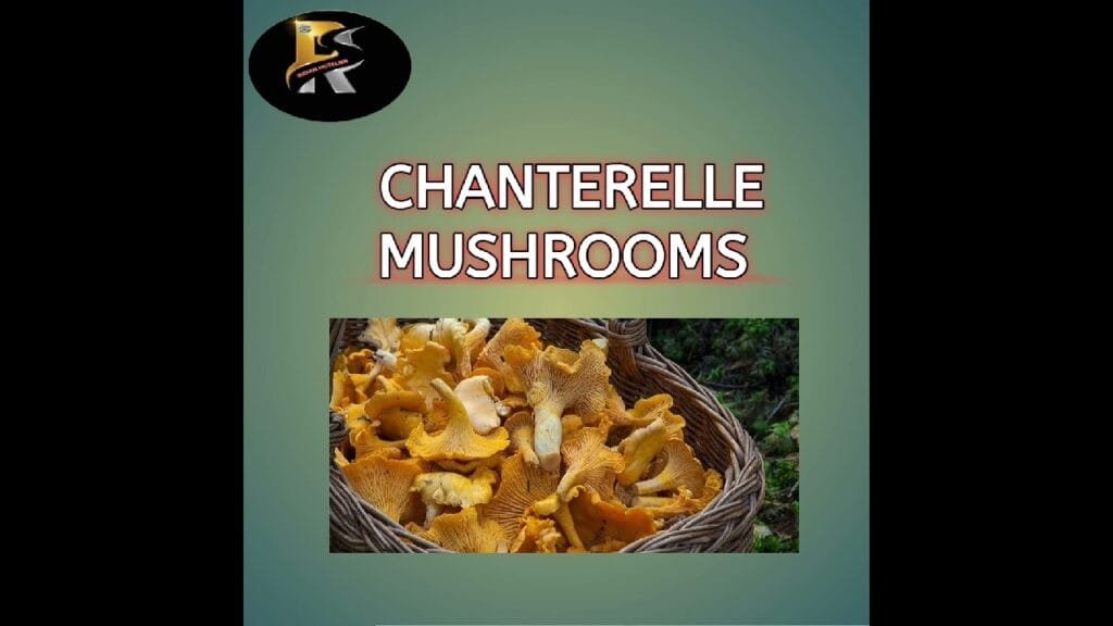 Types Of Mushroom #hotel #restauranttype #rs