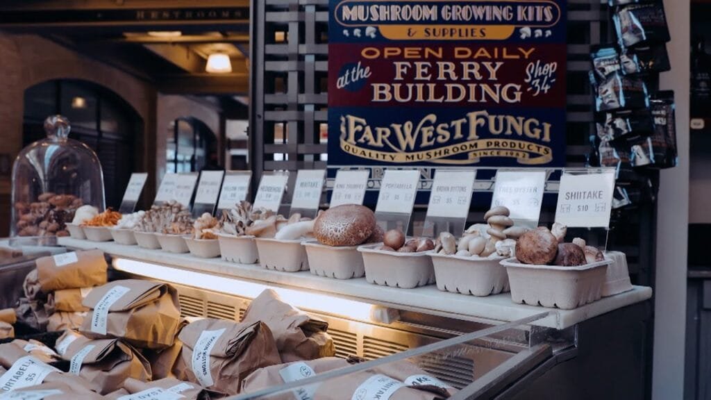 Exotic Mushroom Varieties – America’s Heartland