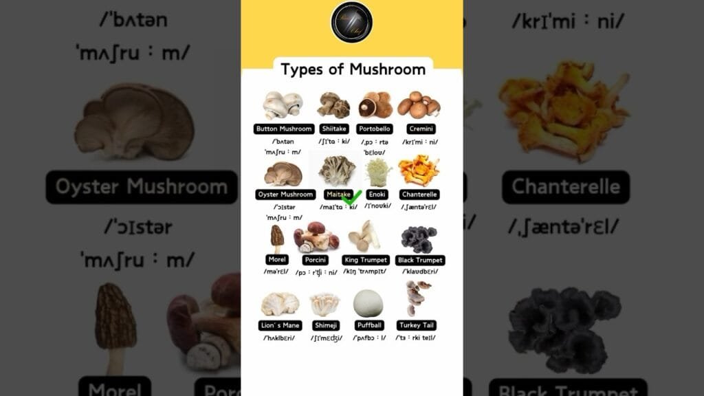 Types Of Mushroom #mushroom #mushrooms #mushroomforest #shorts #ytshorts #ramchef  #chefstalk
