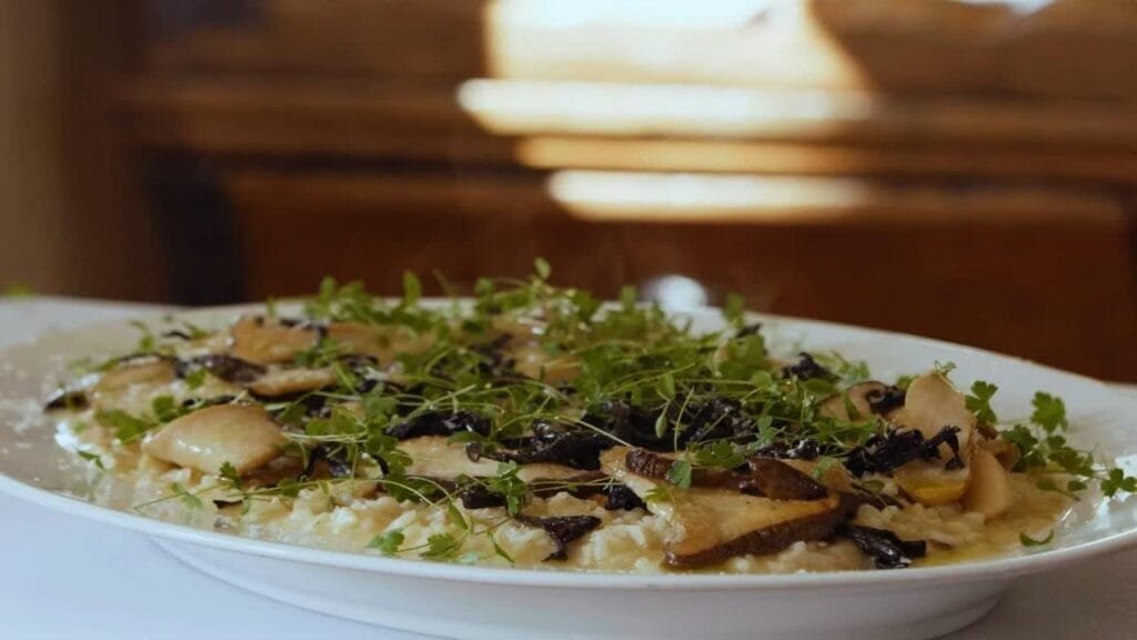 【圣骑字幕】Marco Pierre White意式蘑菇烩饭（素版）-Risotto of Wild Mushrooms