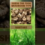 Guess the Food | Mushroom Type #recipes #quiz #shorts #shortsvideo #viral #trending