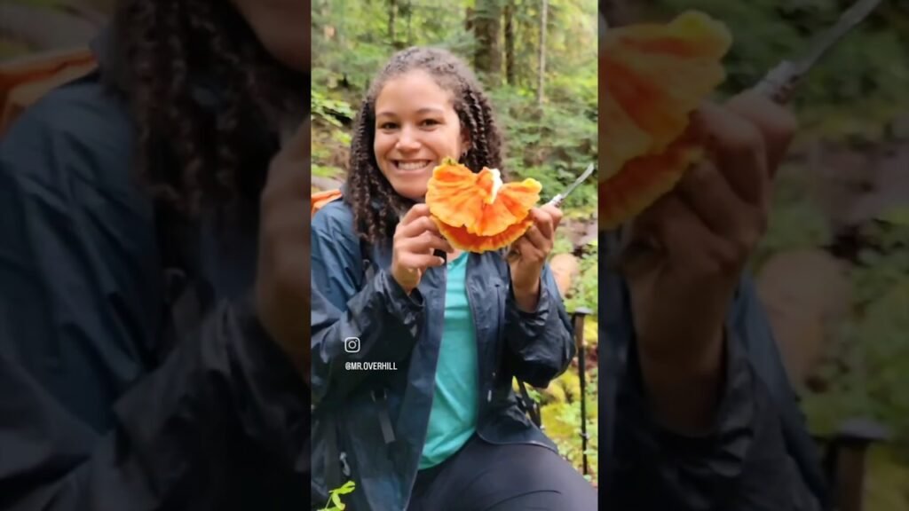How many different types of mushrooms can you forage on one hike?