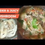 Naga-style MUSHROOM curry🍄