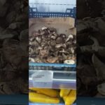 انواع غريبة للفطر و باثمنة خيالية Mushrooms types#food #like #subscrib