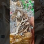 Kurakdot types of mushroom #shortvideo #shorts