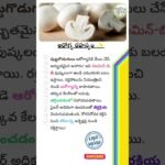 🍄 Tasty Mushroom Recipes | Biryani, Curry, Gravy & Soup | Easy & Quick! 😋