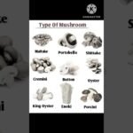 Types of Mushrooms 🍄🍄 #shorts #relatable
