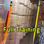 Oyester mushroom cultivation full training #Bpchaudhari #mushroom