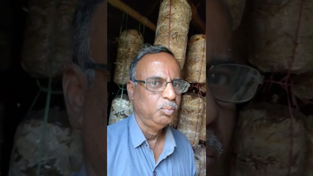 #Different #types of #Mushroom