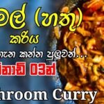 චිකන් රසට බිම්මල් කරිය හදමු  |mushroom curry recipe | Bimmal curry recipe sinhala | Hathu recipe